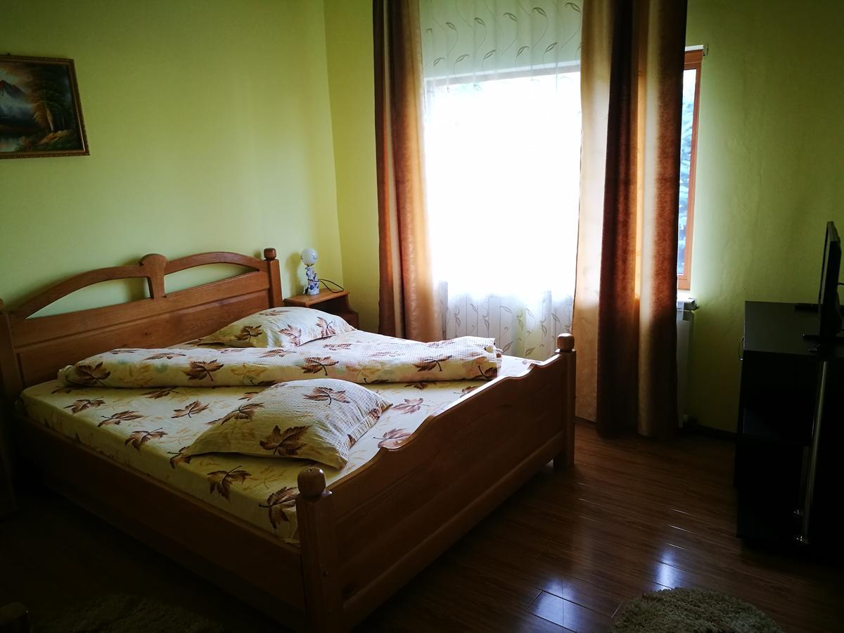 Pensiunea Ramona Carpinisu Экстерьер фото