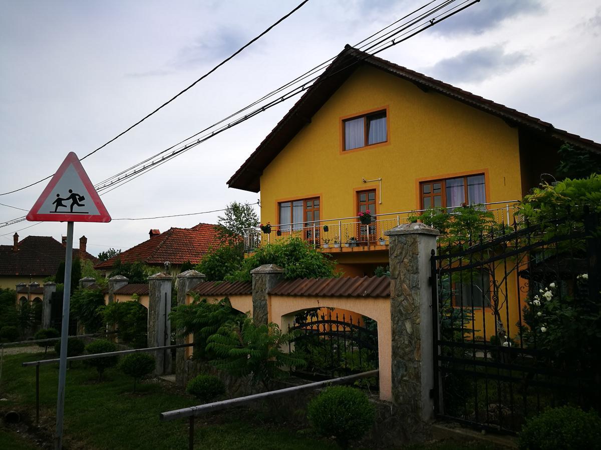 Pensiunea Ramona Carpinisu Экстерьер фото